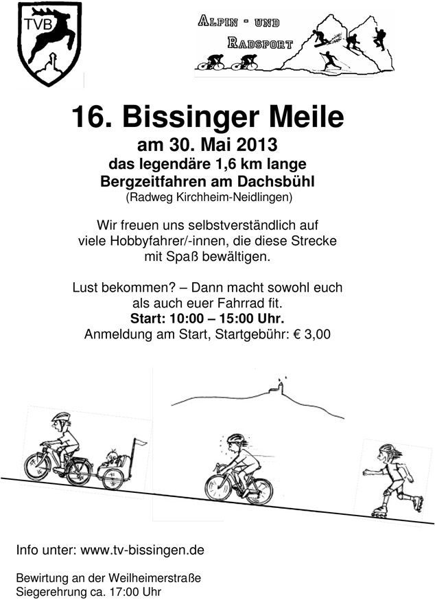 2013 Plakat Meile